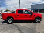 2023 F-150 Thumbnail 4
