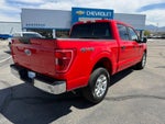 2023 F-150 Thumbnail 5