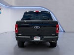 2023 F-150 Thumbnail 4
