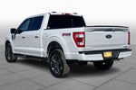 2023 F-150 Thumbnail 12