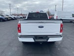 2023 F-150 Thumbnail 4