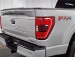 2023 F-150 Thumbnail 8