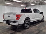 2023 F-150 Thumbnail 7