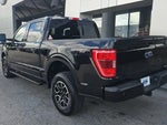 2023 F-150 Thumbnail 3
