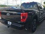 2023 F-150 Thumbnail 5