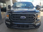2023 F-150 Thumbnail 7