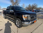 2021 F-150 Thumbnail 10
