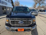 2021 F-150 Thumbnail 11