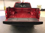 2021 F-150 Thumbnail 8