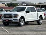 2021 F-150 Thumbnail 7
