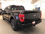2021 F-150 Thumbnail 6