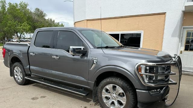 2021 Ford F-150 Platinum