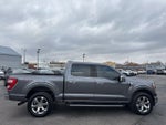 2021 F-150 Thumbnail 6