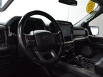 2021 F-150 Thumbnail 10