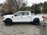 2021 F-150 Thumbnail 2