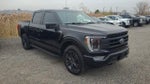 2021 F-150 Thumbnail 2
