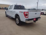 2021 F-150 Thumbnail 7
