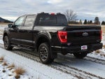 2021 F-150 Thumbnail 4