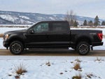 2021 F-150 Thumbnail 3