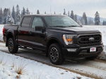 2021 F-150 Thumbnail 8