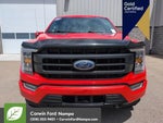 2021 F-150 Thumbnail 11