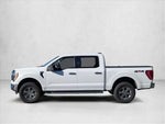 2021 F-150 Thumbnail 6