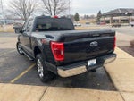 2021 F-150 Thumbnail 5