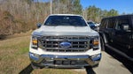 2021 F-150 Thumbnail 2