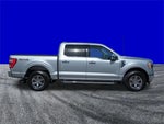 2021 F-150 Thumbnail 3