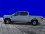 2021 F-150 Thumbnail 7