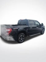 2021 F-150 Thumbnail 9
