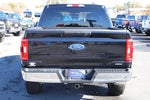 2022 F-150 Thumbnail 19