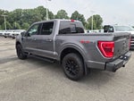2022 F-150 Thumbnail 5