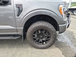 2022 F-150 Thumbnail 10