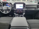 2022 F-150 Thumbnail 11