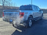 2022 F-150 Thumbnail 4