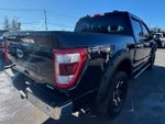 2022 F-150 Thumbnail 6