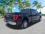 2022 F-150 Thumbnail 4