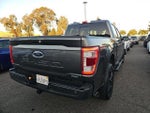 2022 F-150 Thumbnail 4