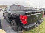 2022 F-150 Thumbnail 3