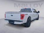 2022 F-150 Thumbnail 5