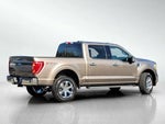 2023 F-150 Thumbnail 4