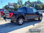 2023 F-150 Thumbnail 6