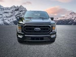 2023 F-150 Thumbnail 4