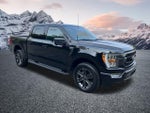 2023 F-150 Thumbnail 5