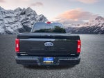 2023 F-150 Thumbnail 8