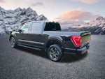 2023 F-150 Thumbnail 10