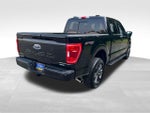 2023 F-150 Thumbnail 7