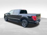 2023 F-150 Thumbnail 10