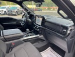 2023 F-150 Thumbnail 19